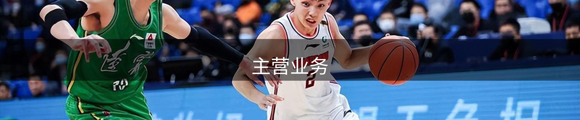 主营业务